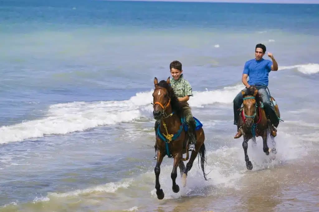 Horseback riding in Los Cabos