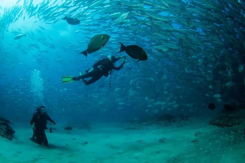 Snorkeling the Marietas Islands near Punta Mita