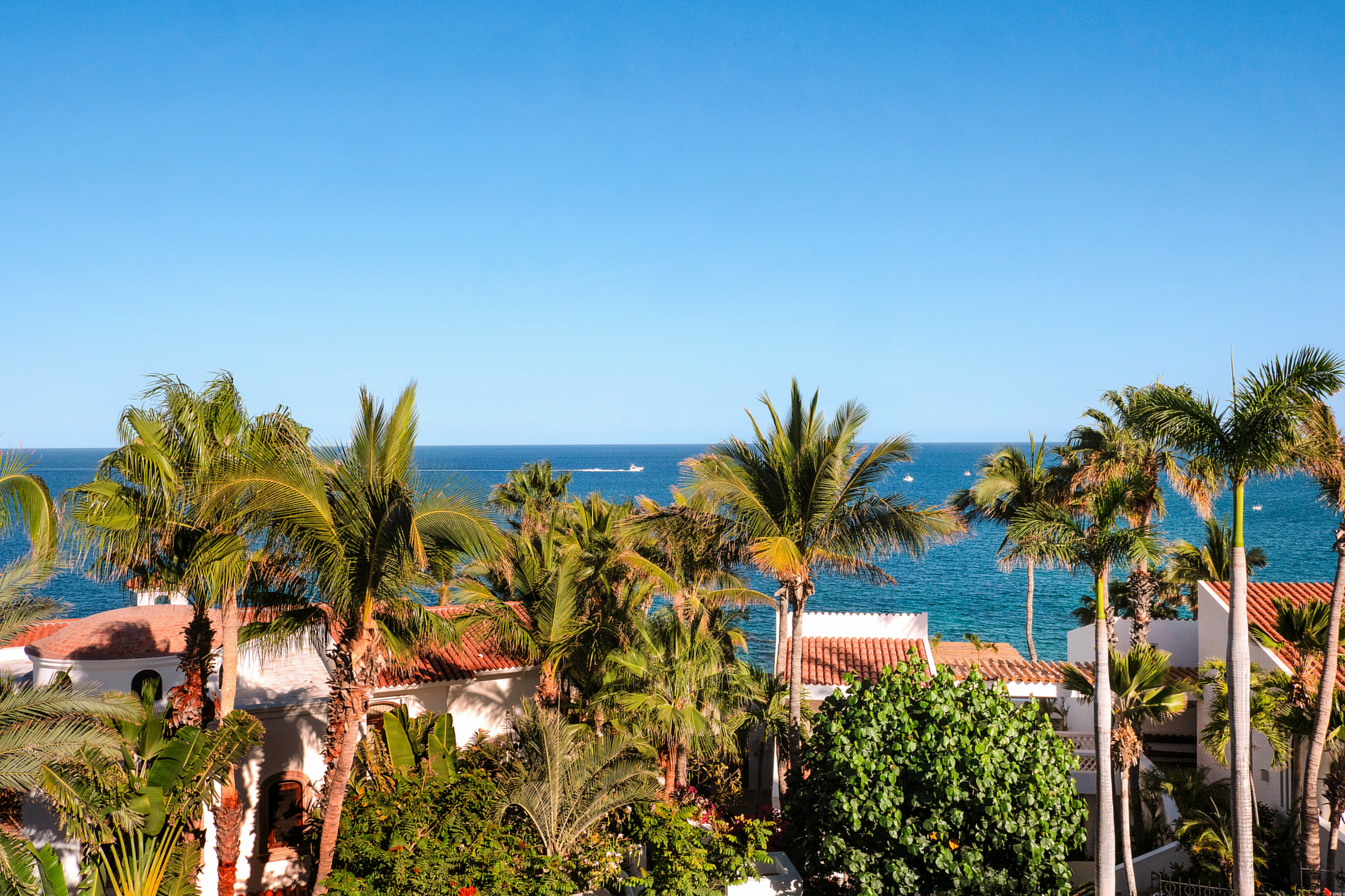 Caleta_1400070