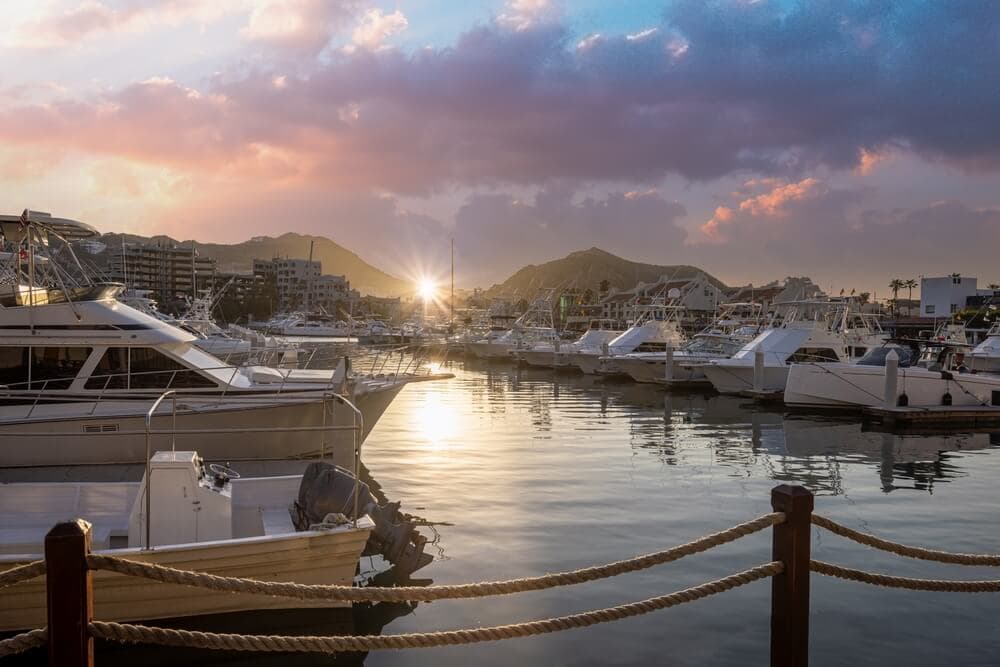 Your Guide to the Best Cabo Fishing Charters