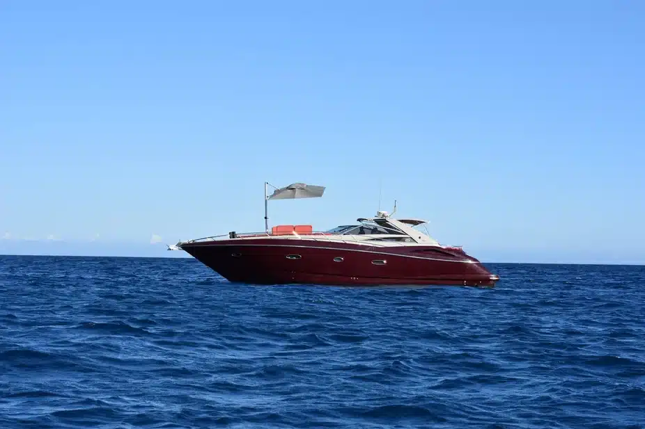 Pasha, view 5