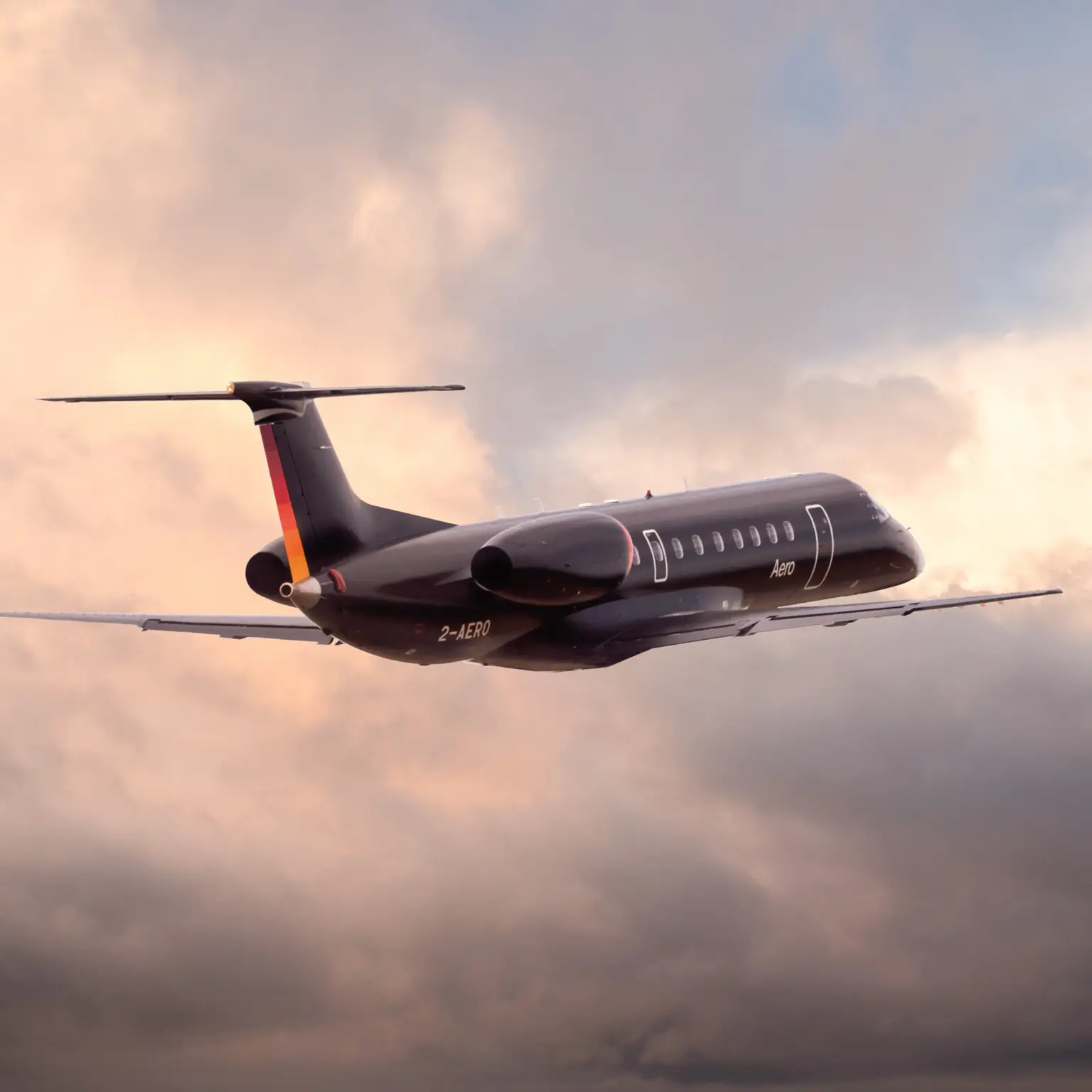 A private jet on the tarmac at the Los Cabos terminal