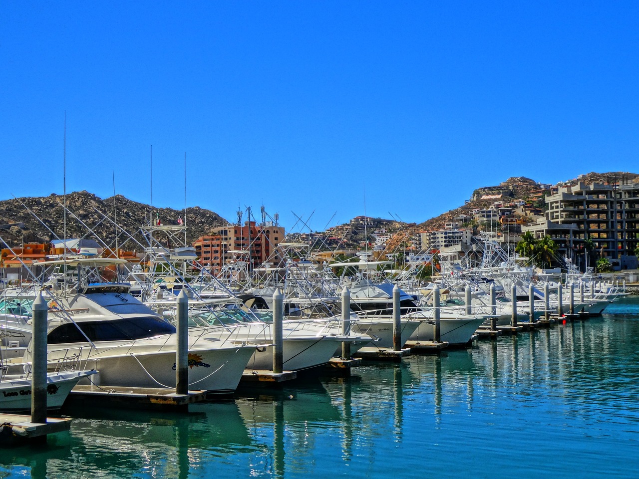 Boats lined up on the marina in Cabo San Lucas
